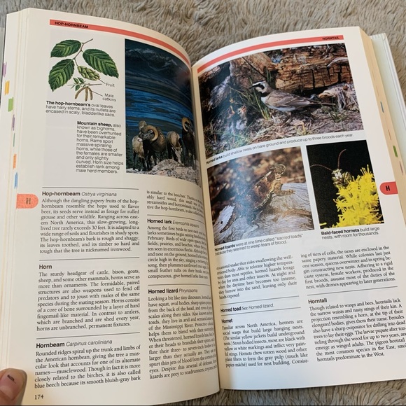 Nature in North America Hardcover Book - Picture 5 of 7